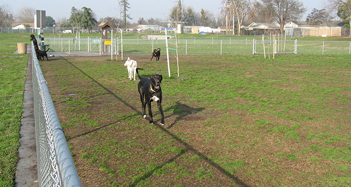 https://www.cityofturlock.org/_images/dogpark-quailerandnorton.jpg