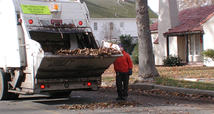 Yard Waste / Leaf Pickup